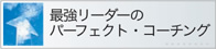�ŋ����[�_�[�̃p�[�t�F�N�g�E�R�[�`���O